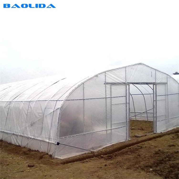 Agricultural single-span plastic invernaderos greenhouses for tomatoes agricultural serra agricola