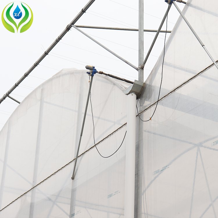 MYXL hydroponics growing systems galvanized steel pipe low cost agricultural greenhouses for sale