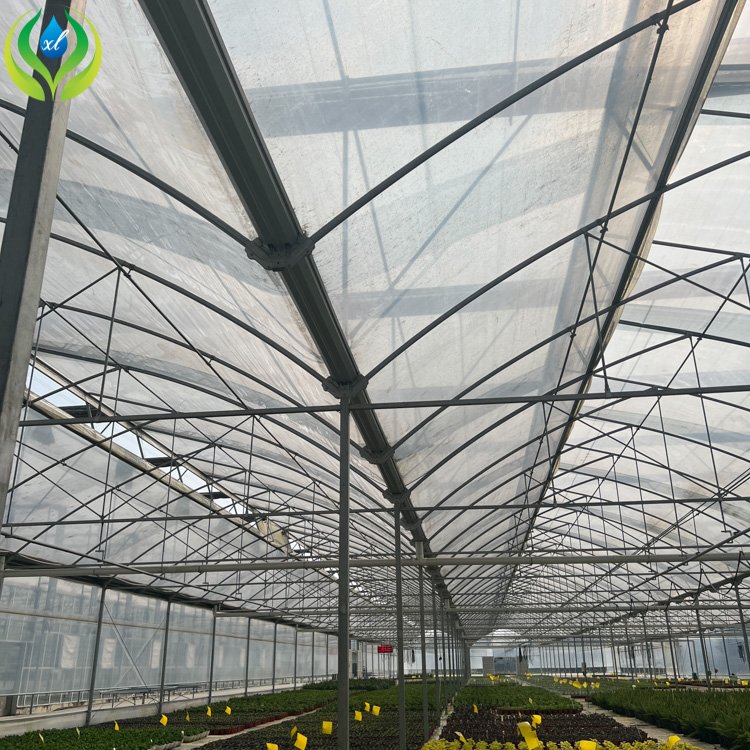 MYXL hydroponics growing systems galvanized steel pipe low cost agricultural greenhouses for sale