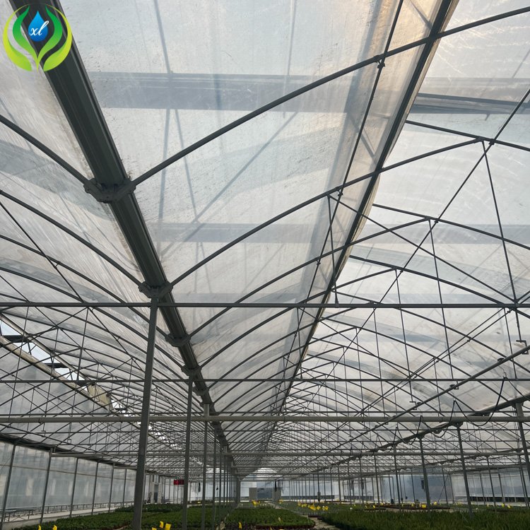 MYXL hydroponics growing systems galvanized steel pipe low cost agricultural greenhouses for sale