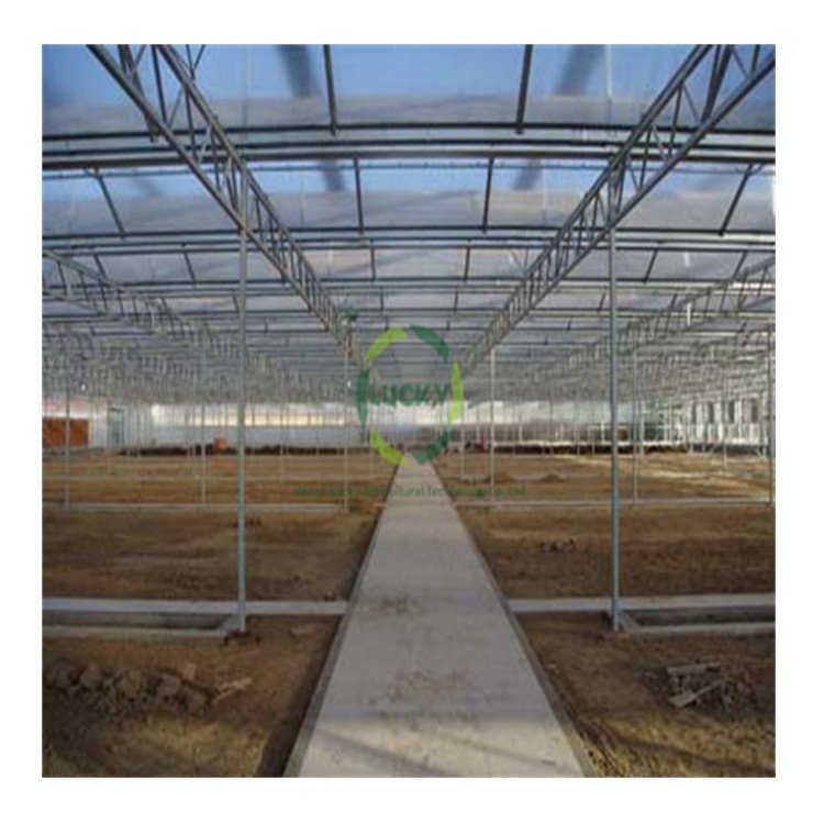 Hydroponic Smart Plant Vertical Tower Growing Systems Multi-Span Greenhouses Tomato Film Garden Greenhouse Grow Tent