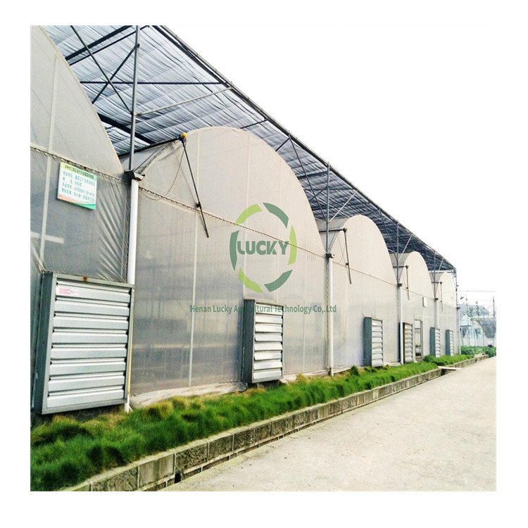 Hydroponic Smart Plant Vertical Tower Growing Systems Multi-Span Greenhouses Tomato Film Garden Greenhouse Grow Tent