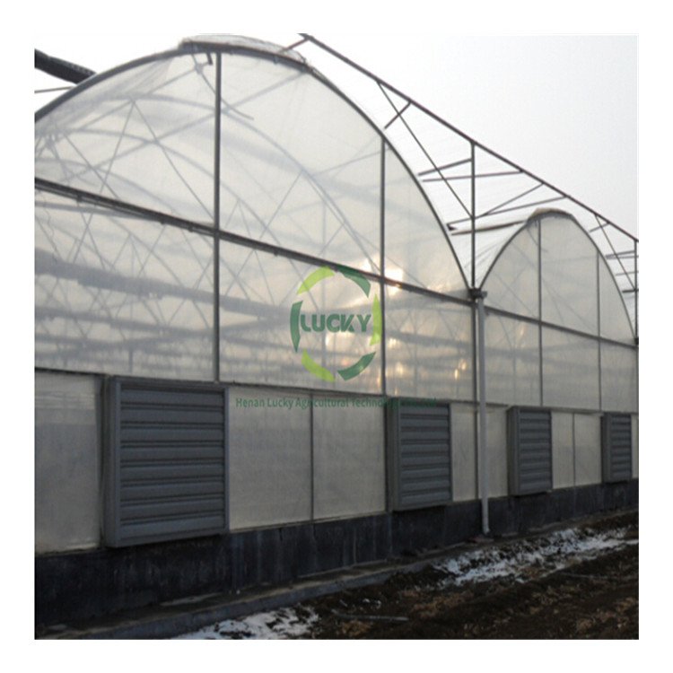 Hydroponic Smart Plant Vertical Tower Growing Systems Multi-Span Greenhouses Tomato Film Garden Greenhouse Grow Tent
