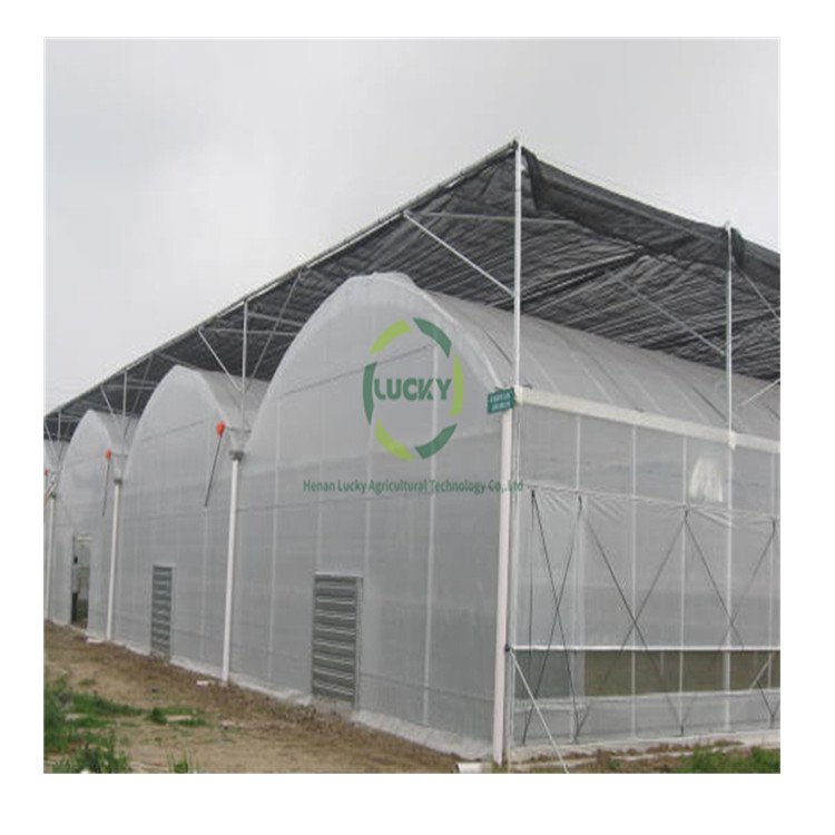 Hydroponic Smart Plant Vertical Tower Growing Systems Multi-Span Greenhouses Tomato Film Garden Greenhouse Grow Tent