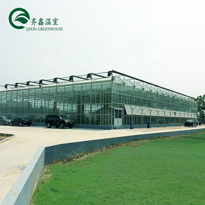 vegetable greenhouse for restaurant