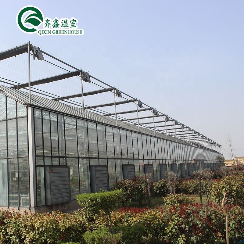 vegetable greenhouse for restaurant