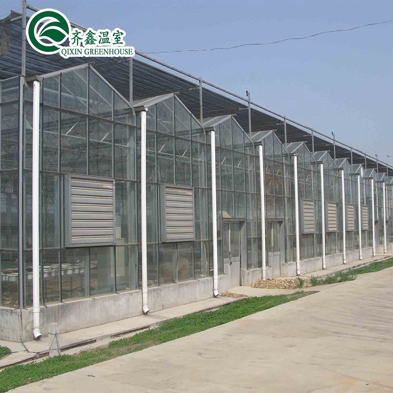 vegetable greenhouse for restaurant