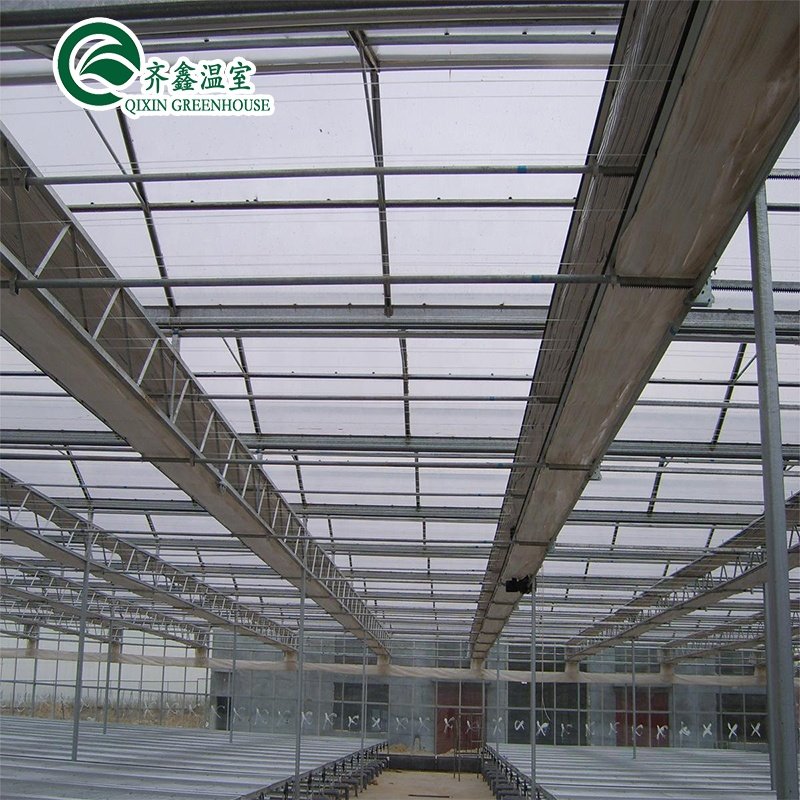 vegetable greenhouse for restaurant