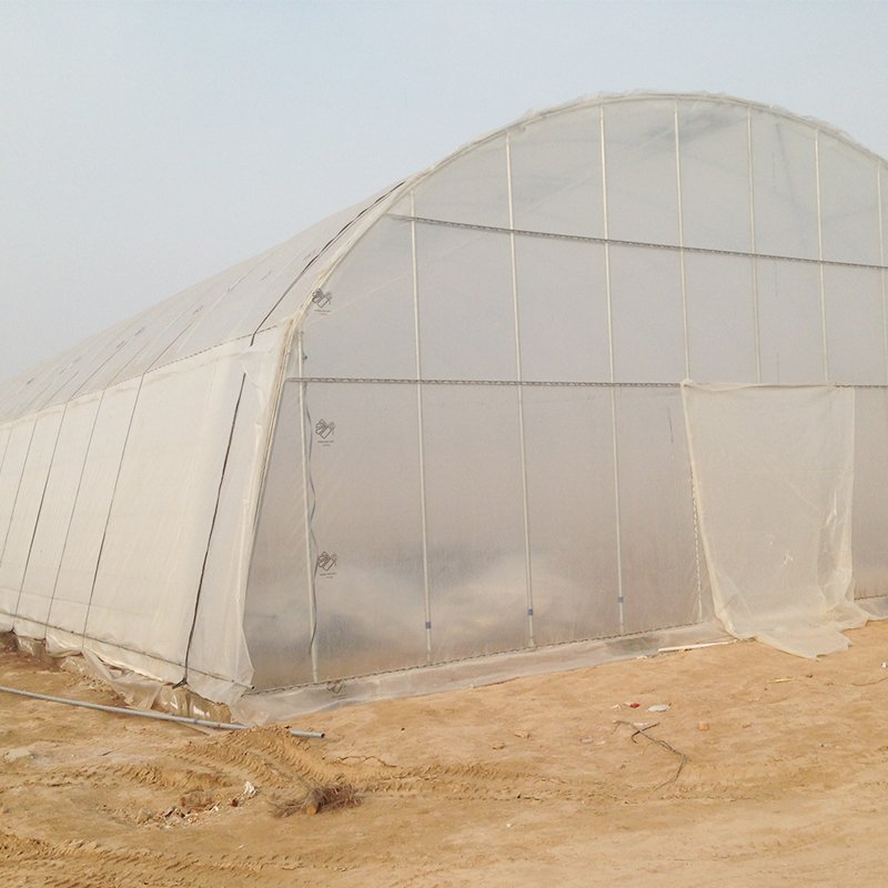 cheap agriculture farm greenhouse for cultivation