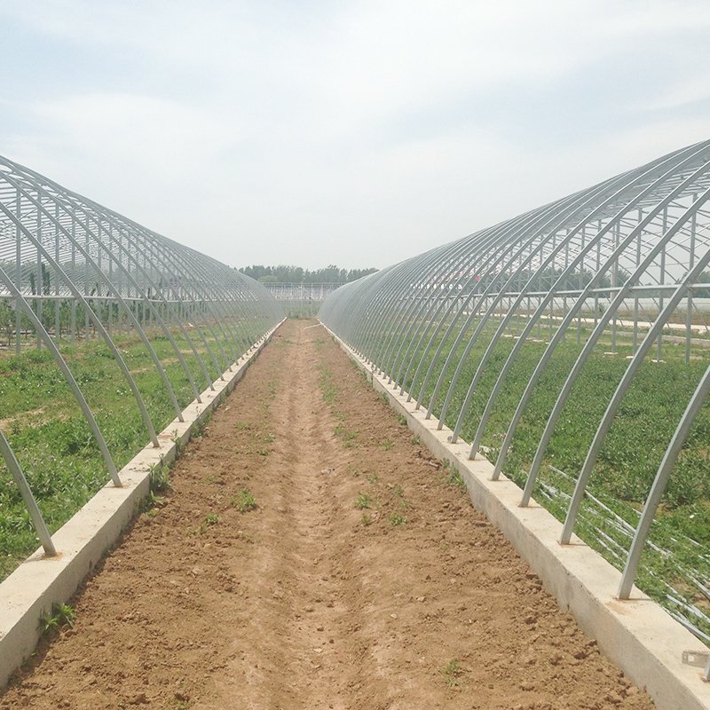 cheap agriculture farm greenhouse for cultivation