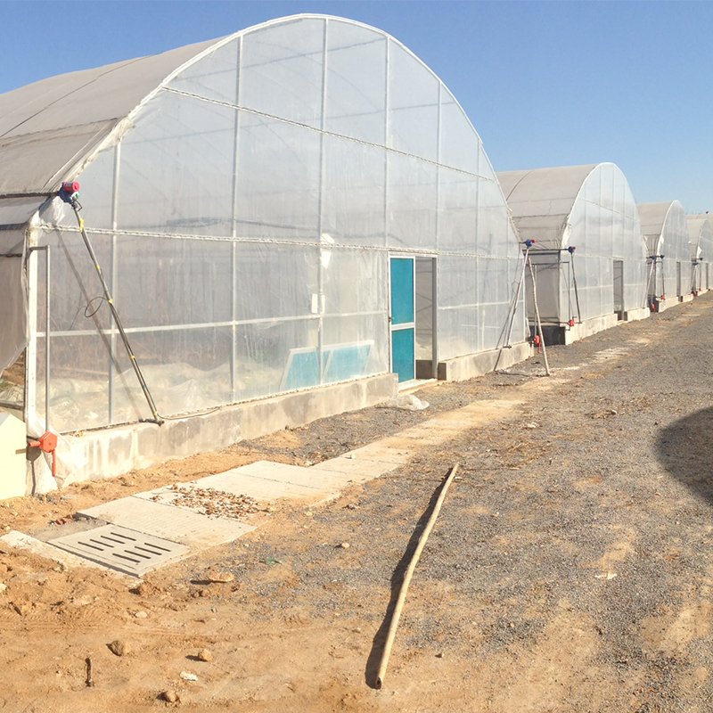 cheap agriculture farm greenhouse for cultivation