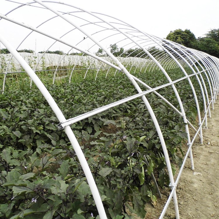 Baolida low cost small size greenhouse plastic film hothouse single hoop tunnel agriculture greenhouse