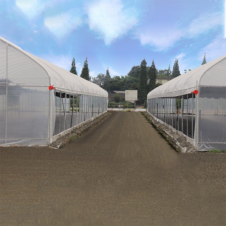 Baolida low cost small size greenhouse plastic film hothouse single hoop tunnel agriculture greenhouse