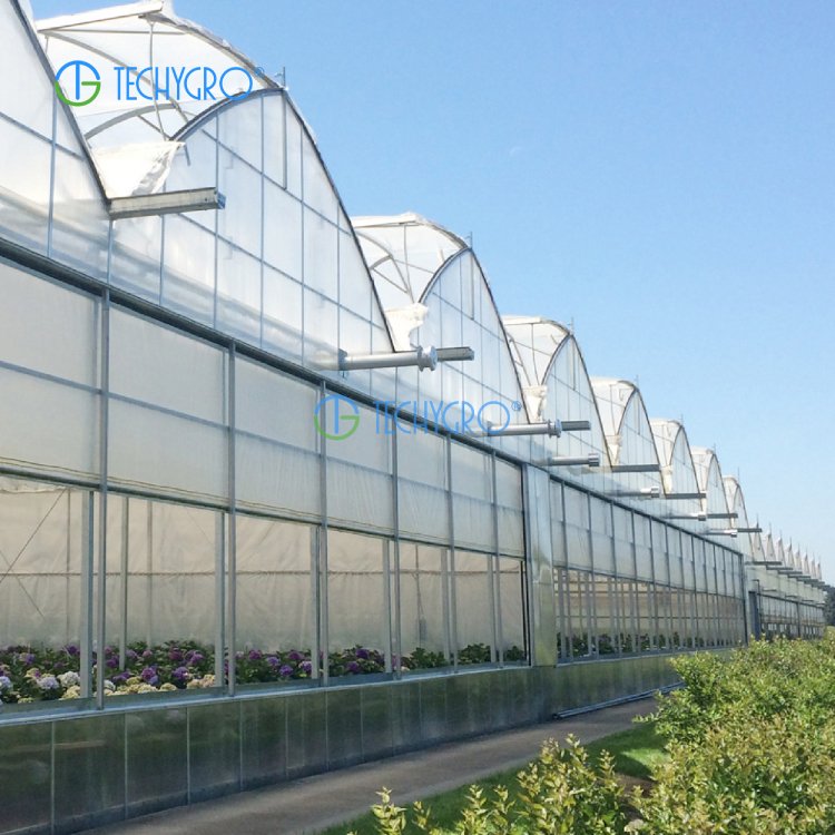 Techygro GH-03 PE Film Greenhouse Multi-span Agricultural Greenhouse