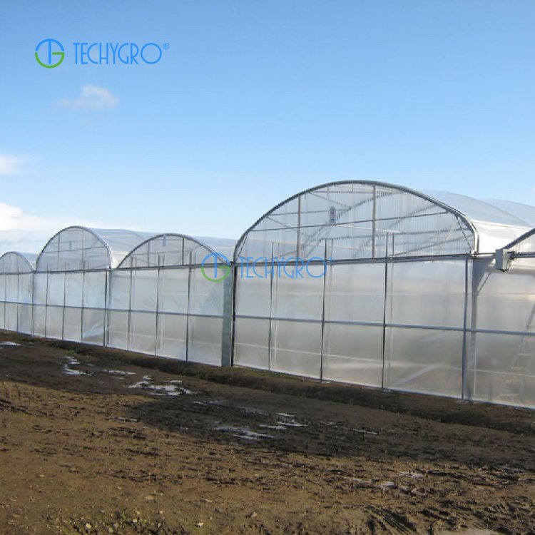 Techygro GH-03 PE Film Greenhouse Multi-span Agricultural Greenhouse