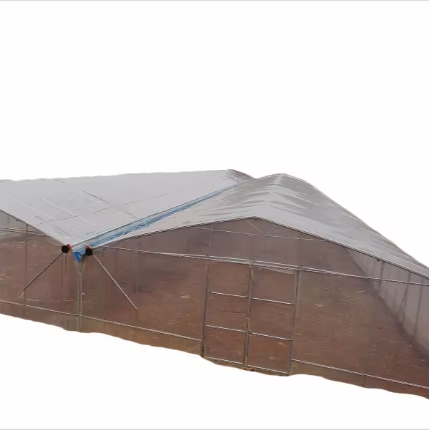 Stock 8x30m agricultural tomato greenhouse high tunnel greenhouse for sale pointed arch connecting shed