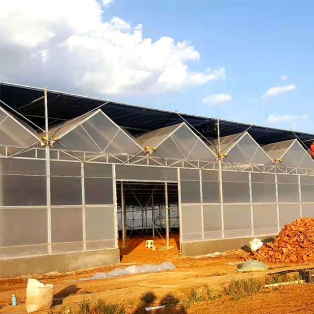 Large Multi-Span Film Greenhouse Agricultural Equipment for Hydroponic System