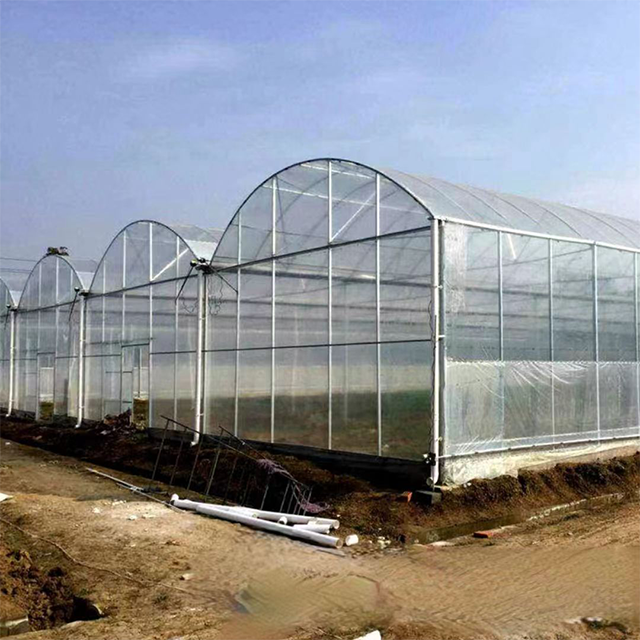 Large Multi-Span Film Greenhouse Agricultural Equipment for Hydroponic System
