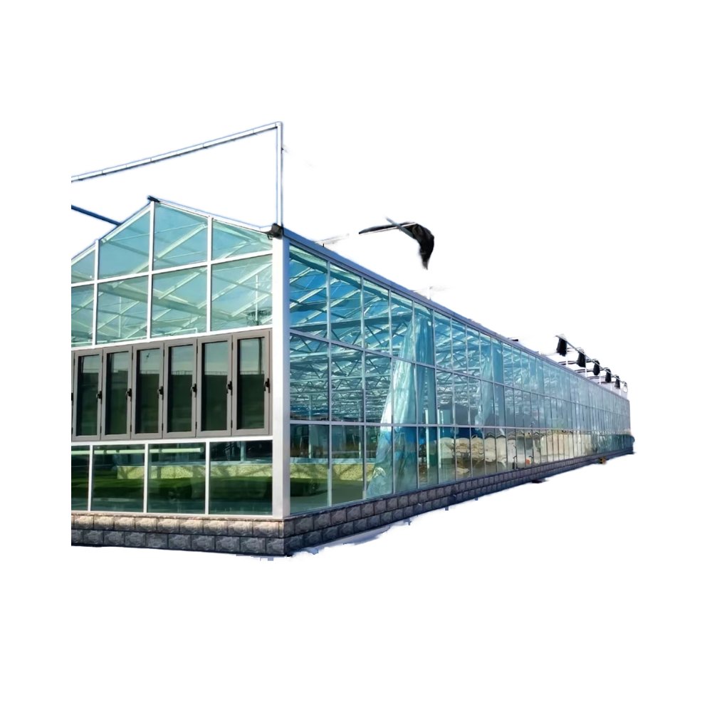 High Efficiency Agricultural Multi-Span Greenhouse Large Square Double Layer Film Steel Material Plant Factory Price Wholesale