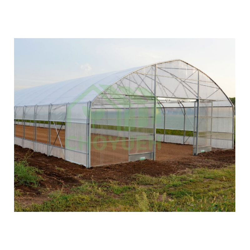 CHOYUEH low cost single span tunnel plastic film greenhouse poly tunnel greenhouse for tomato