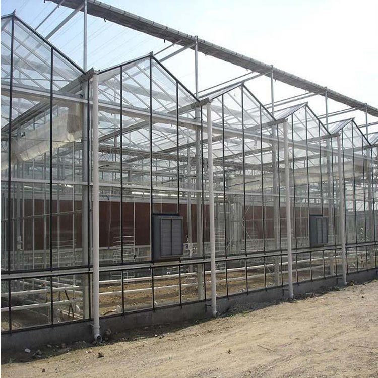 Venlo glass green house multi-span agricultural greenhouses for sale