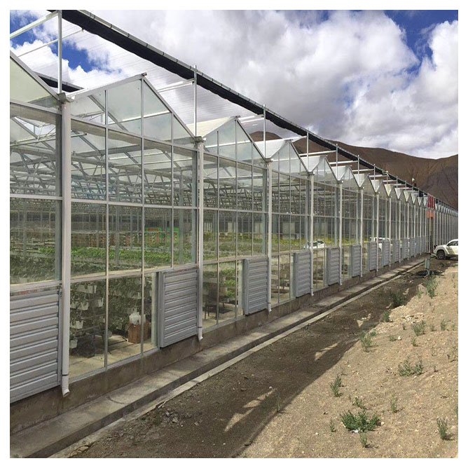 Venlo glass green house multi-span agricultural greenhouses for sale