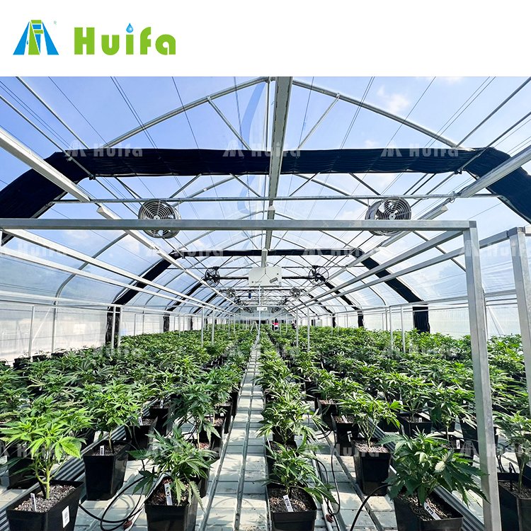 American Popular Light Deprivation Black out Greenhouse