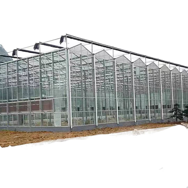Industrial Agricultural Customized Multi-span Venlo Luxury Glass House Tourist Seeding Greenhouse Drying House For Sale