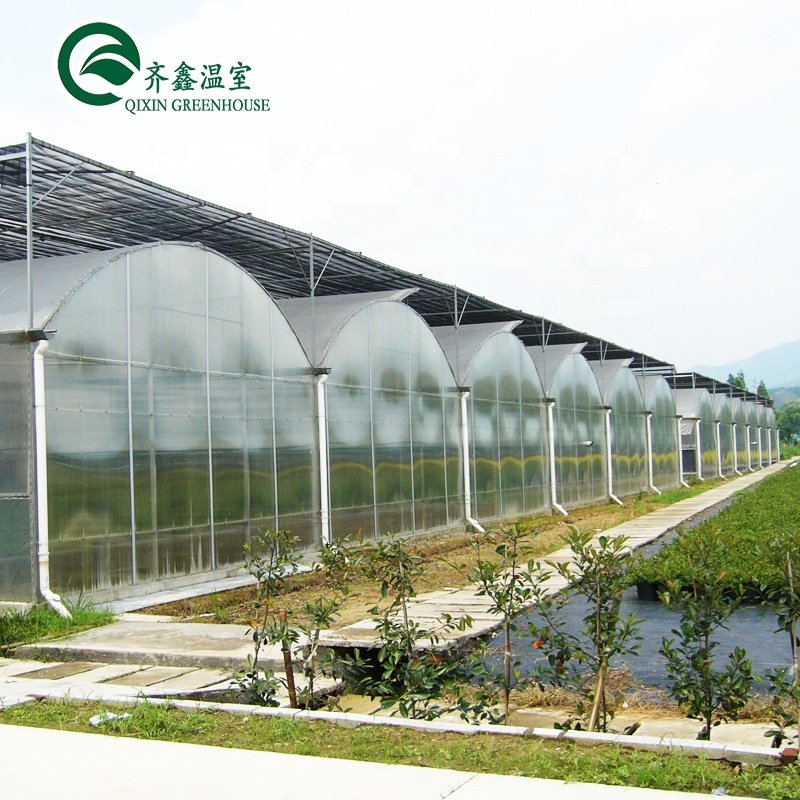 Beach House Tent Pc Sheet Greenhouse For Thailand