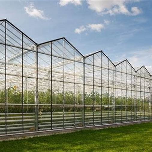 Manufacturer All types Commercial Hydroponic Greenhouse kits Greenhouses Structure with Hydroponic System