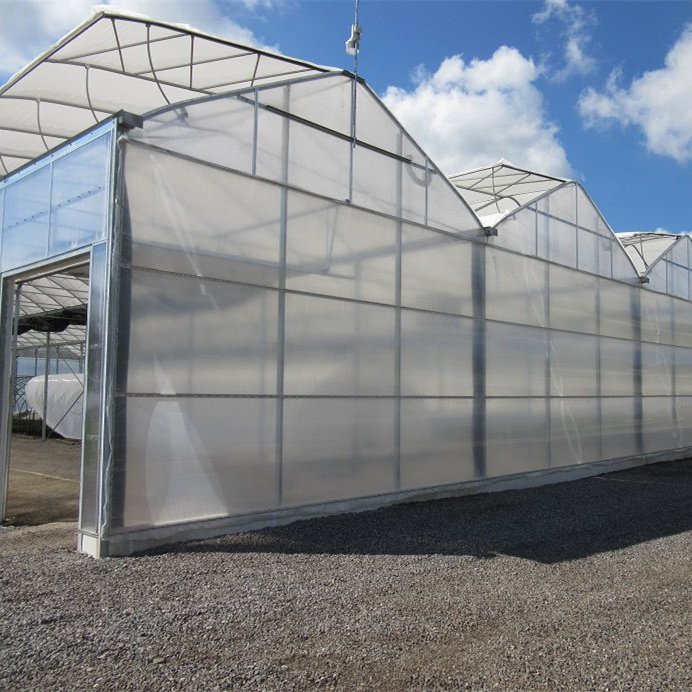 Manufacturer All types Commercial Hydroponic Greenhouse kits Greenhouses Structure with Hydroponic System