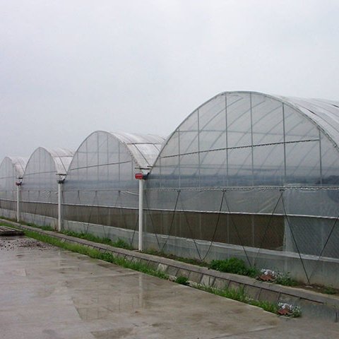 Manufacturer All types Commercial Hydroponic Greenhouse kits Greenhouses Structure with Hydroponic System