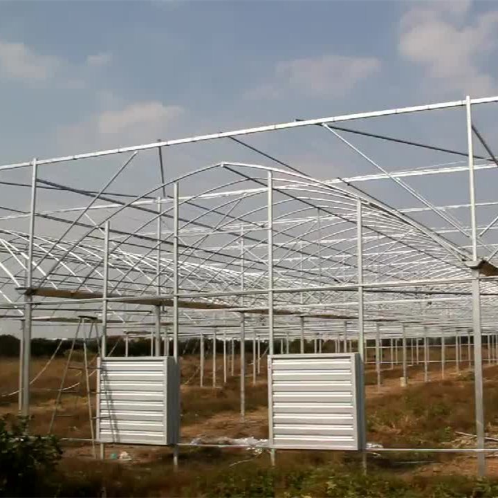 Manufacturer All types Commercial Hydroponic Greenhouse kits Greenhouses Structure with Hydroponic System
