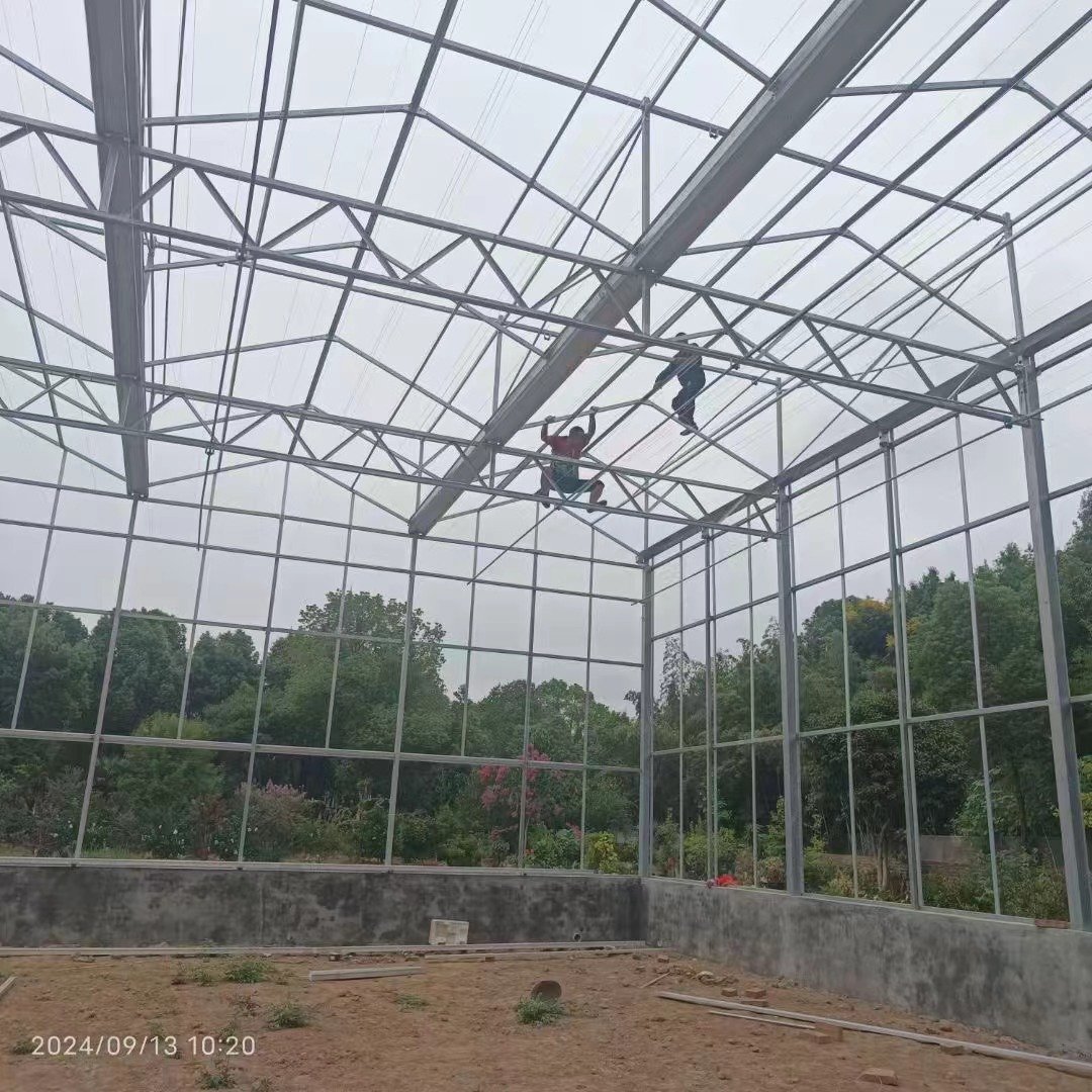 Tomato Vegetable Hydroponic Greenhouse Multi-Span Four-Week PVC Plastic Film Material Automated Glass Polycarbonate Plant Usage