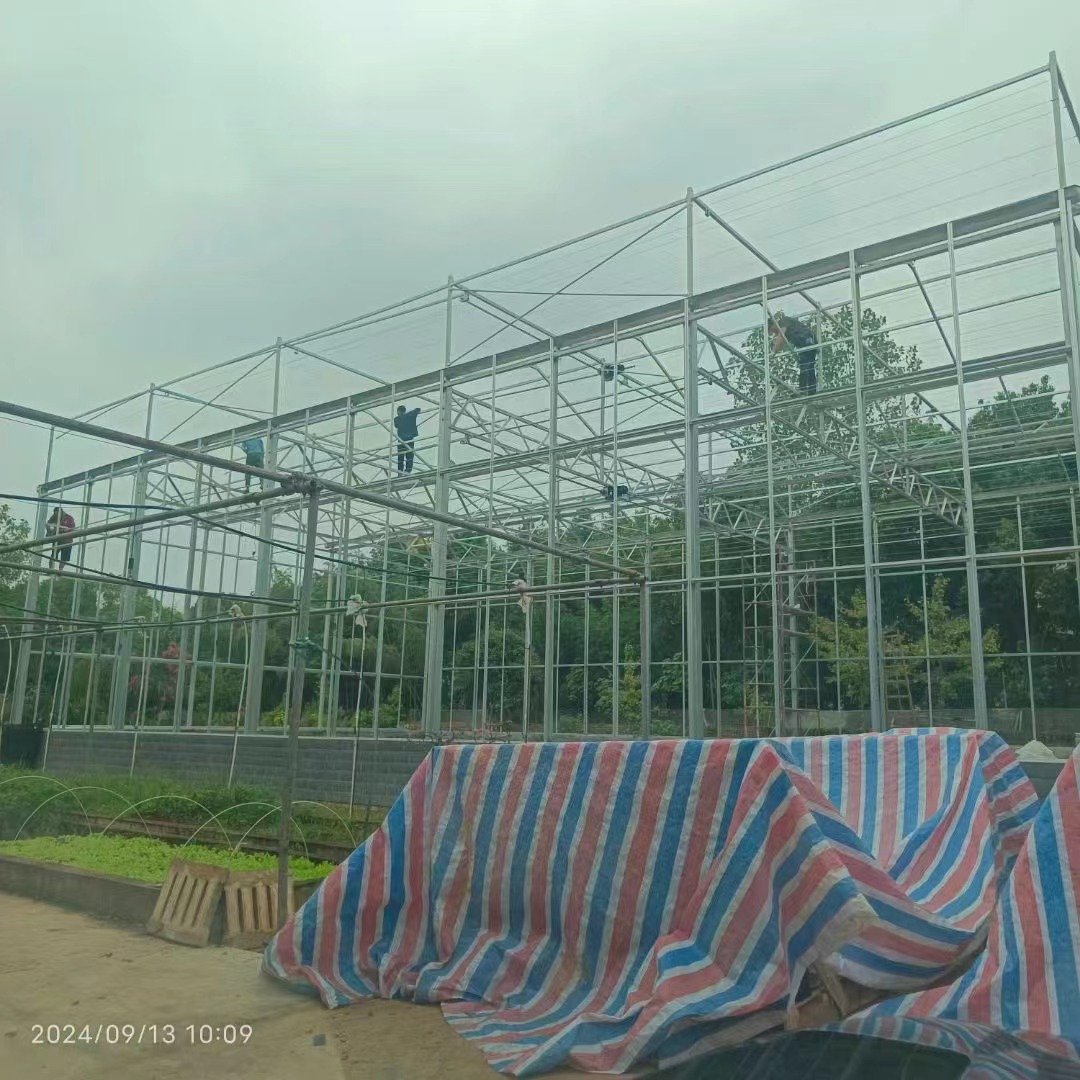 Tomato Vegetable Hydroponic Greenhouse Multi-Span Four-Week PVC Plastic Film Material Automated Glass Polycarbonate Plant Usage