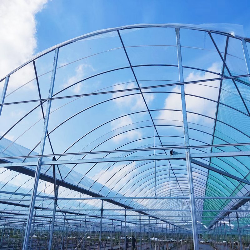 Agricultural greenhouses plastic film cultivation tomato greenhouse cover for sale