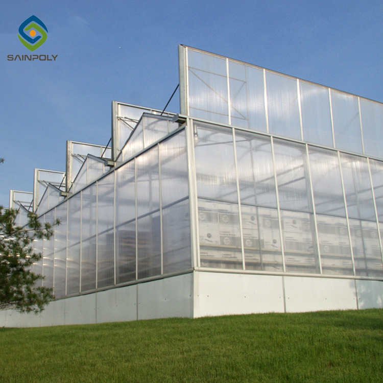 Venlo polycarbonate green house hydroponics greenhouses for agriculture