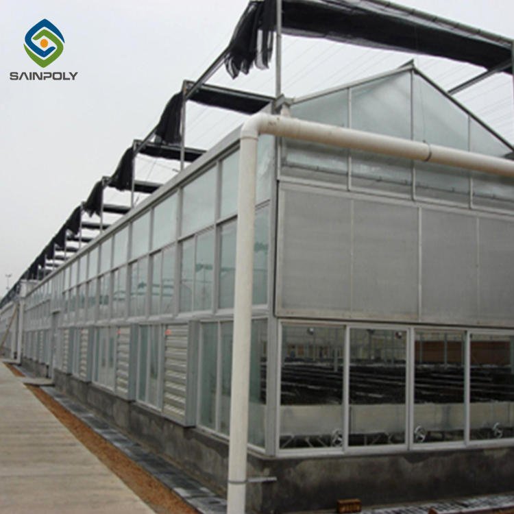 Venlo polycarbonate green house hydroponics greenhouses for agriculture