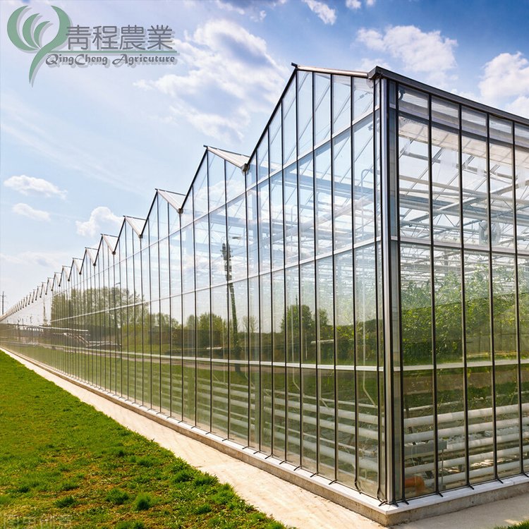 Multi Span Agricultural Glass Greenhouses for Vegetable Growing
