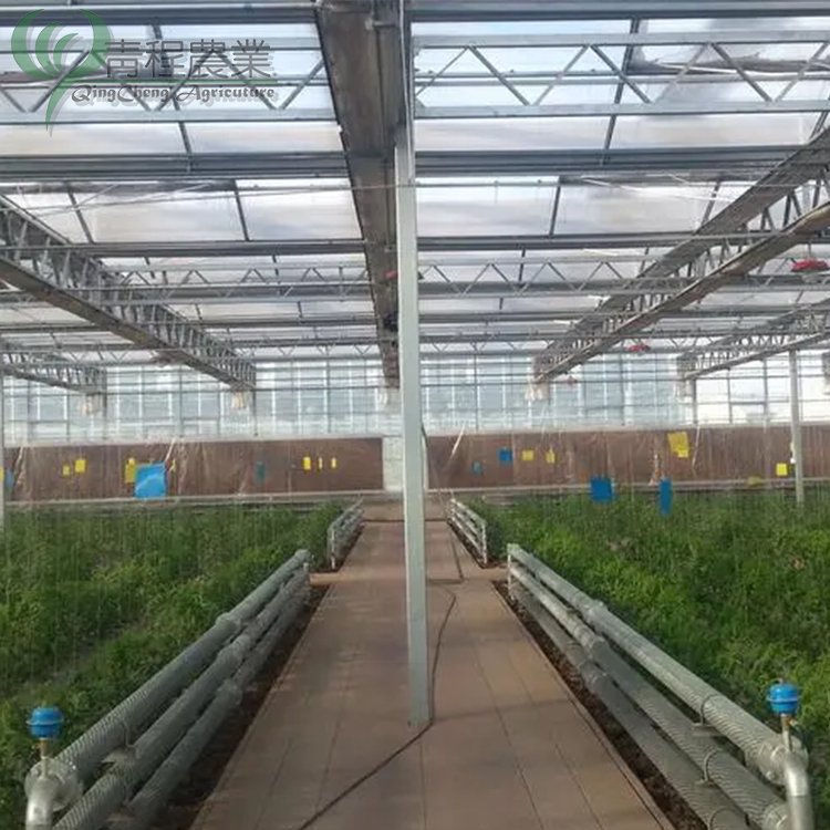 Multi Span Agricultural Glass Greenhouses for Vegetable Growing