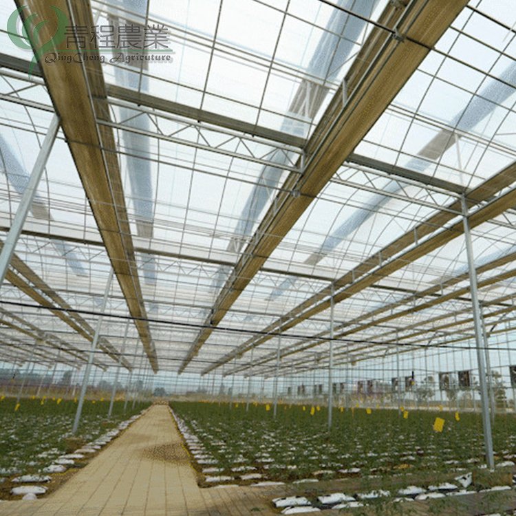Multi Span Agricultural Glass Greenhouses for Vegetable Growing