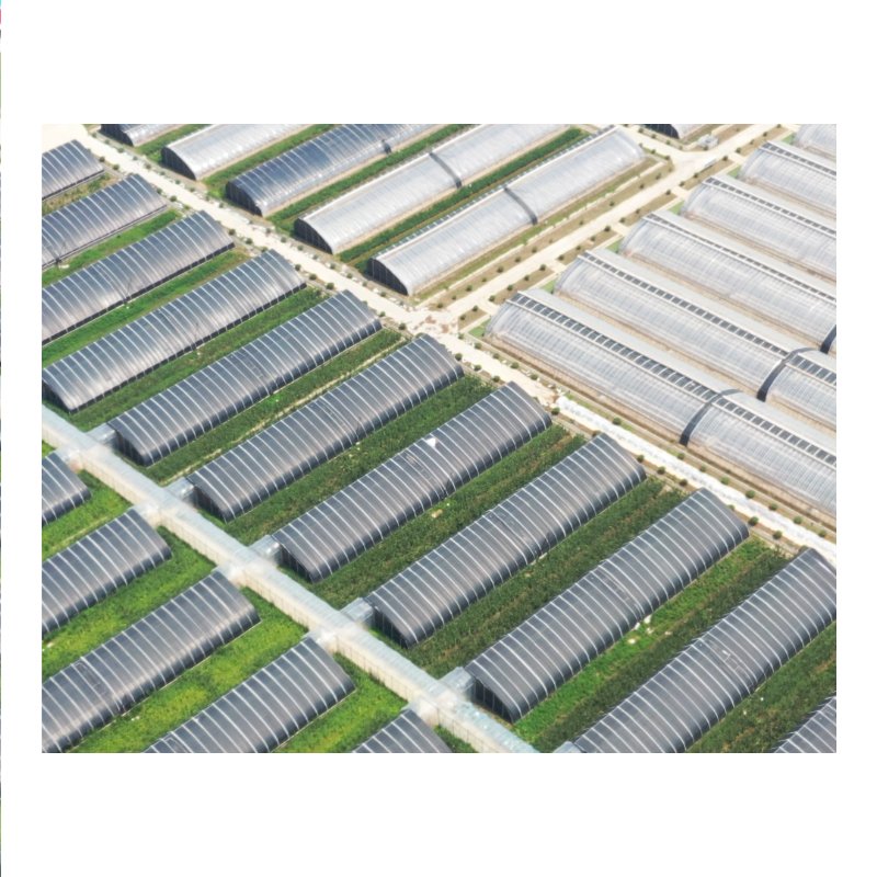 Hydroponic Tunnel Greenhouse Single Layer Plastic Film Green House for Plant Usage Bulk Agricultural Greenhouses Available Stuck
