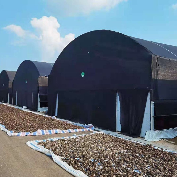Seepoem Cheap Price Agricultural Greenhouse For Mushroom Farming