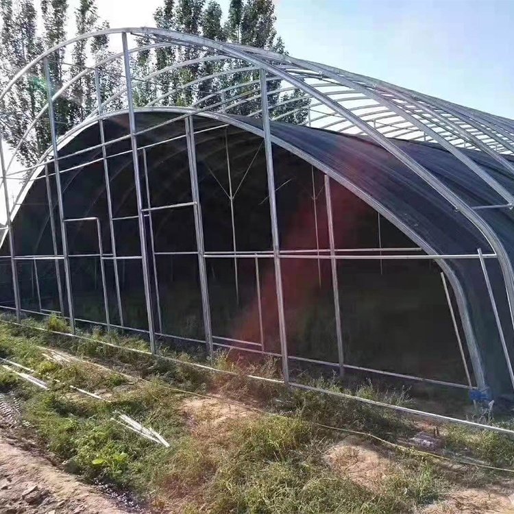 Seepoem Cheap Price Agricultural Greenhouse For Mushroom Farming