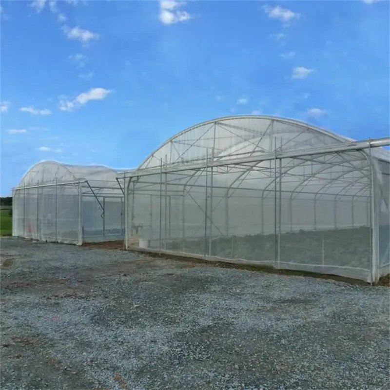 Growing Under Cover Dome Quonset Hut Conservatory Freestanding Greenhouse Polytunnel Growing House