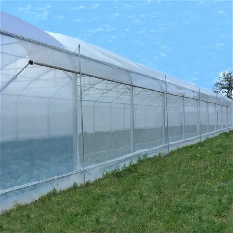Growing Under Cover Dome Quonset Hut Conservatory Freestanding Greenhouse Polytunnel Growing House