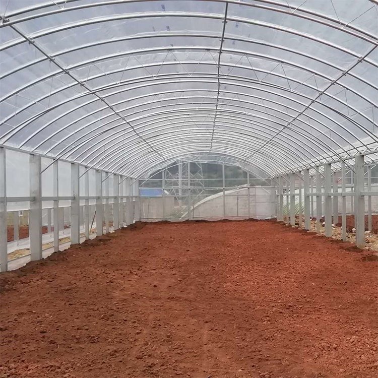 Growing Under Cover Dome Quonset Hut Conservatory Freestanding Greenhouse Polytunnel Growing House