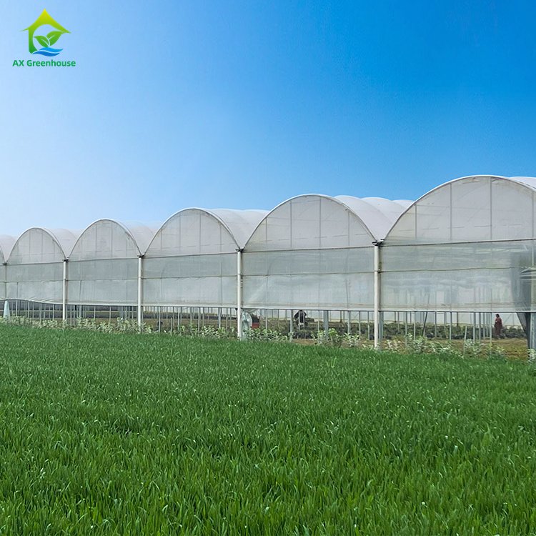 Hot Selling Multi-span UV Resistant Plastic PE Film Low Cost Polytunnel Agriculture Hothouse Tomato Greenhouse serre agricole