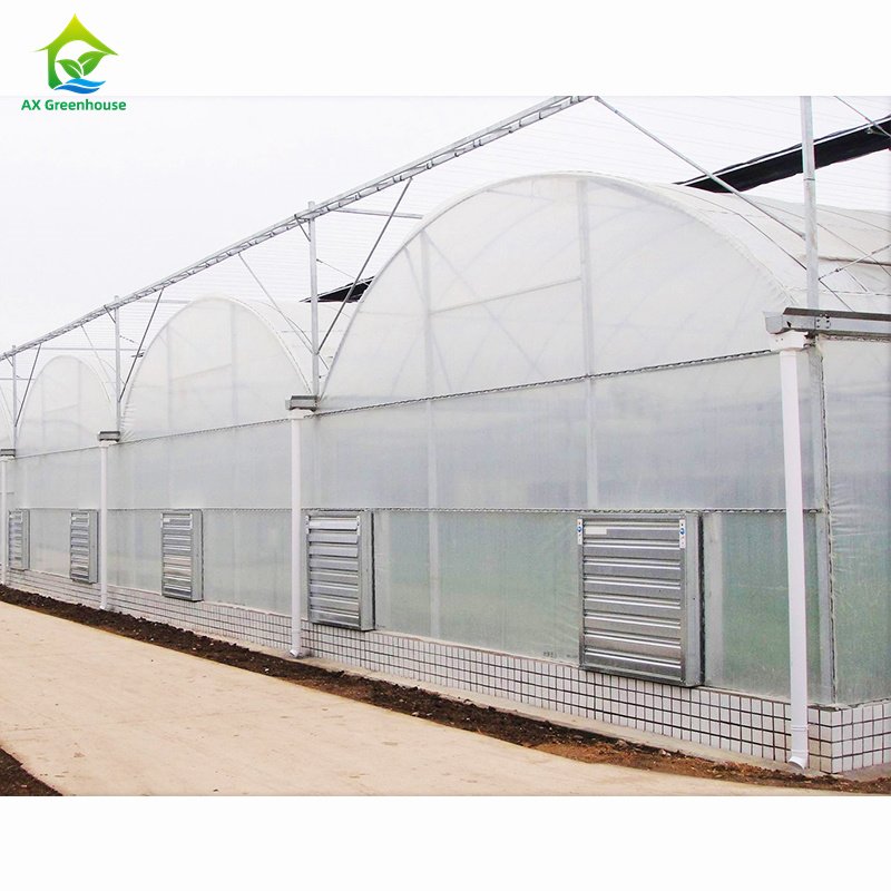 Hot Selling Multi-span UV Resistant Plastic PE Film Low Cost Polytunnel Agriculture Hothouse Tomato Greenhouse serre agricole