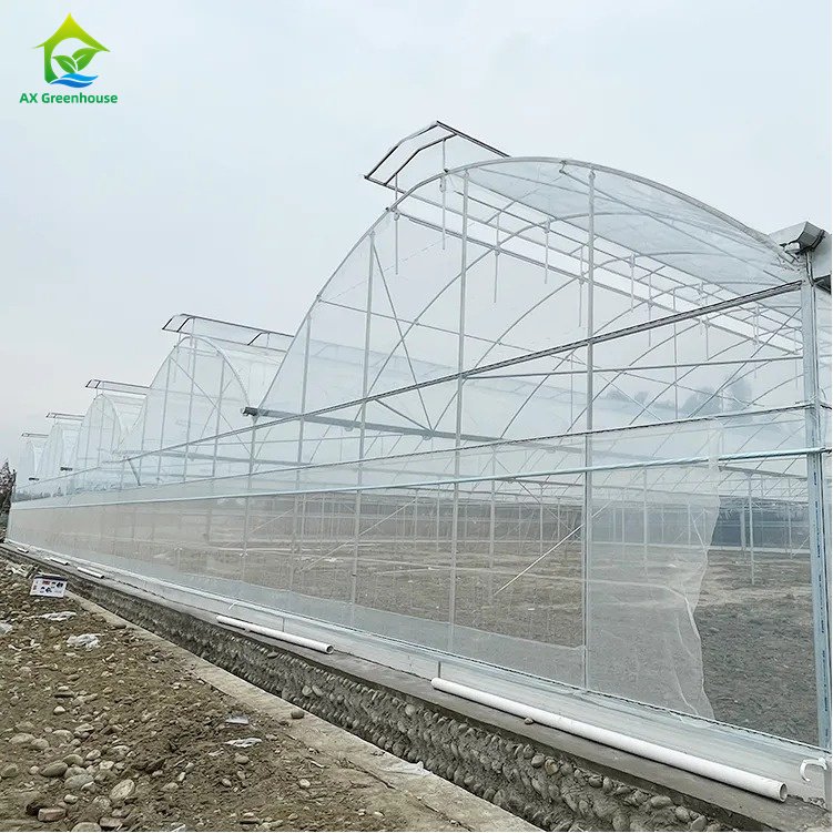 Hot Selling Multi-span UV Resistant Plastic PE Film Low Cost Polytunnel Agriculture Hothouse Tomato Greenhouse serre agricole